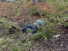 Homem é encontrado morto próximo a cidade de Castelo do Piauí