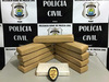 Polícia Civil de Picos apreende 11kg de droga em ônibus de passageiro