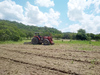 Prefeitura de SMT continua com aração de terras para os agricultores