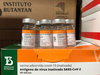 Chega ao estado do Piauí um novo lote de vacinas contra a Covid-19