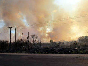 Equatorial faz alerta para queimadas que afetam as Redes Elétricas no Piauí