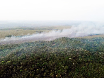 Piauí tem áreas em emergência ambiental por incêndio florestal