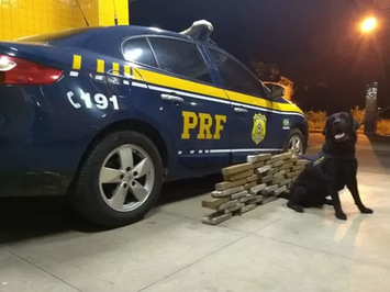 Jovem é presa no Sul do Piauí com 26 kg de maconha dentro de mala