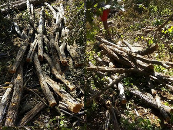 Defensor alerta o risco de mortes em conflito em São Miguel do Tapuio