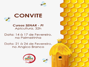 Prefeitura Municipal de Castelo do Piauí realizará curso de Apicultura
