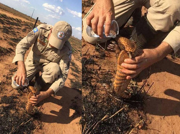 Família de bombeiro que tirou a foto do tatu bebendo água é piauiense