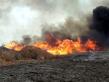 Prefeito assina decreto que proíbe o uso de fogos de artifícios
