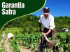 Prefeitura inicia cadastro para o Programa Garantia Safra 2019/2020