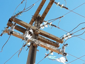 Piauí registra 771 casos de interrupção de energia por acidentes com pipas