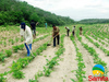 Agricultores têm até 30 de janeiro para pagar boleto do Garantia Safra