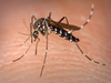 Casos de dengue caem 7,3% no Piauí no primeiro semestre do ano de 2021