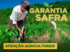 Governo Federal abre período de inscrição para o Garantia-Safra 2021-2022