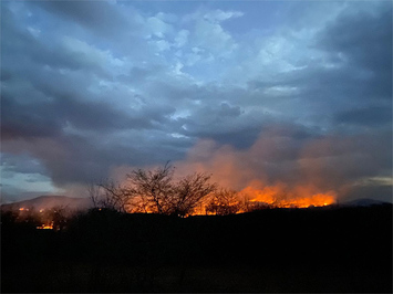 Incêndio na divisa do estado do Piauí com o Ceará dura mais de uma semana