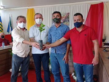 Prefeitura de Sigefredo Pacheco realiza a distribuição de 4.500 mudas de Cajú