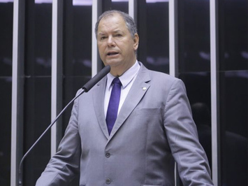Comissão de Agricultura aprova regras para a criação de abelhas sem ferrão