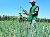 No Piauí, 31% dos produtores rurais estão com o nome negativados