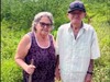 Casal de idosos morre após ataque de abelhas em Jacobina do Piauí