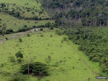 Começa o prazo para entrega da Declaração do Imposto Territorial Rural (ITR)