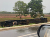 Motorista dorme ao volante e ônibus clandestino tomba na BR-135 