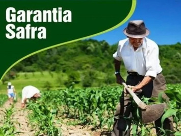 Governo Federal autoriza o pagamento do Garantia Safra para 48 municípios do Piauí