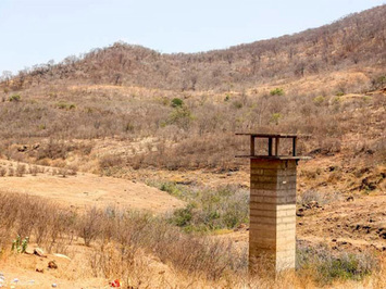 Piauí registra queda da área de seca, mas lidera percentual no Nordeste