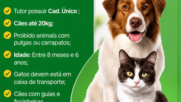 Castramóvel inicia inscrições para castração de cães e gatos em São M. do Tapuio
