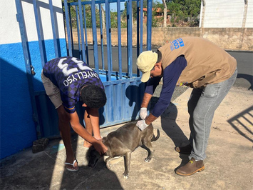 Município promove campanha de vacinação antirrábica na sede e na zona rural